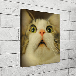 Холст квадратный Удивленный кот - мем крупным планом, цвет: 3D-принт — фото 2
