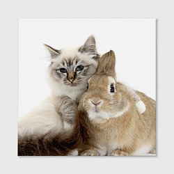 Холст квадратный Кот и кролик пушистые, цвет: 3D-принт — фото 2