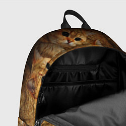 Рюкзак КОТЯТУШКИ, цвет: 3D-принт — фото 2