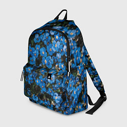 Рюкзак Поле синих цветов фиалки лето, цвет: 3D-принт