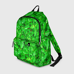 Рюкзак Зелёные листья - текстура, цвет: 3D-принт
