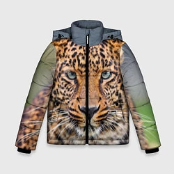 Куртка зимняя для мальчика Грустный леопард, цвет: 3D-светло-серый