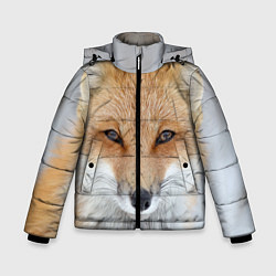 Зимняя куртка для мальчика Зимняя лиса
