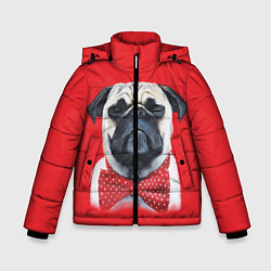 Куртка зимняя для мальчика Довольный мопс: реализм, цвет: 3D-светло-серый