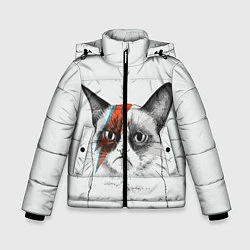 Зимняя куртка для мальчика David Bowie: Grumpy cat