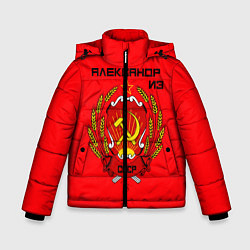 Куртка зимняя для мальчика Александр из СССР, цвет: 3D-светло-серый