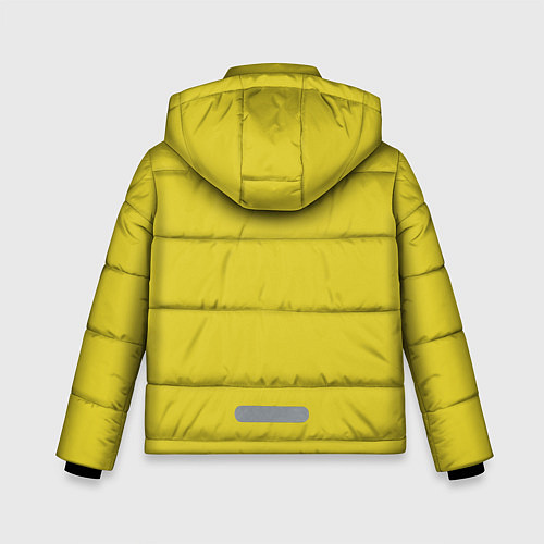 Зимняя куртка для мальчика Панда-маляр / 3D-Светло-серый – фото 2