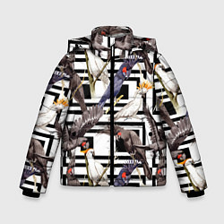 Куртка зимняя для мальчика Попугаи Какаду, цвет: 3D-черный