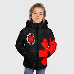 Куртка зимняя для мальчика RED HOT CHILI PEPPERS, цвет: 3D-светло-серый — фото 2