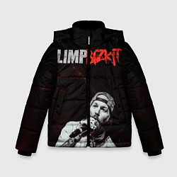 Зимняя куртка для мальчика Limp Bizkit