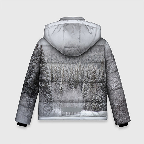 Зимняя куртка для мальчика Зимняя природа / 3D-Красный – фото 2
