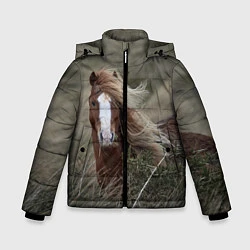 Куртка зимняя для мальчика Конь, цвет: 3D-черный