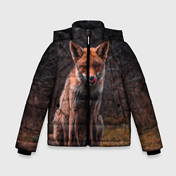 Зимняя куртка для мальчика Хищная лисица