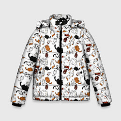 Зимняя куртка для мальчика Коты Паттерн