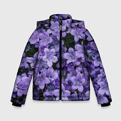 Куртка зимняя для мальчика Фиолетовый цвет весны, цвет: 3D-черный