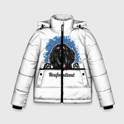 Куртка зимняя для мальчика Ньюфаундленд Newfoundland, цвет: 3D-черный