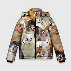 Зимняя куртка для мальчика Много кошек с большими анимэ глазами