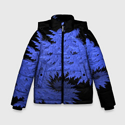 Куртка зимняя для мальчика Абстрактный морозный узор Abstract frost pattern, цвет: 3D-черный
