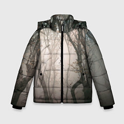 Куртка зимняя для мальчика Лес Туман, цвет: 3D-светло-серый