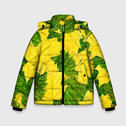Куртка зимняя для мальчика Осенние кленовые листья, цвет: 3D-черный