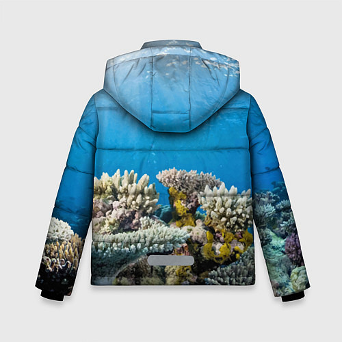 Зимняя куртка для мальчика Кораллы в тропических водах индийского океана / 3D-Красный – фото 2