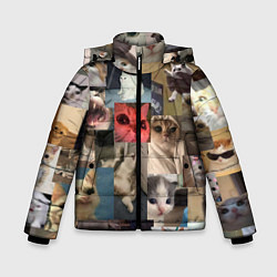 Зимняя куртка для мальчика Мемные котики