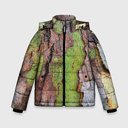 Куртка зимняя для мальчика Кора дерева, цвет: 3D-светло-серый