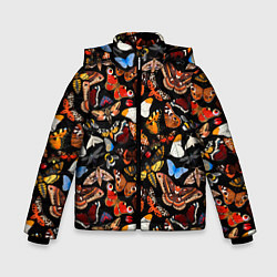 Зимняя куртка для мальчика Разноцветные тропические бабочки