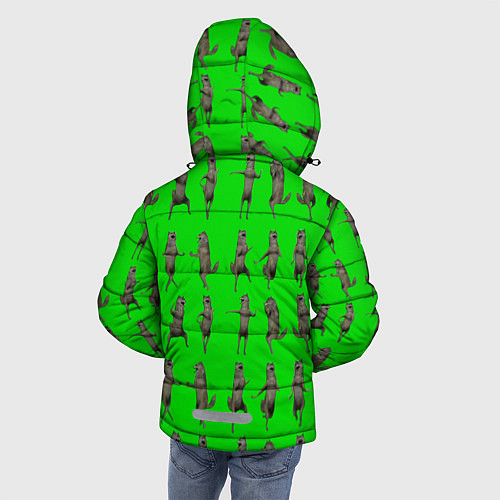 Зимняя куртка для мальчика Ихвильнихт волк / 3D-Светло-серый – фото 4