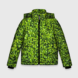 Куртка зимняя для мальчика Зелёная трава листья, цвет: 3D-красный
