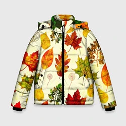 Куртка зимняя для мальчика Осень, цвет: 3D-черный