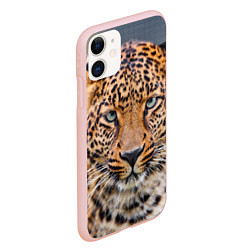 Чехол iPhone 11 матовый Грустный леопард, цвет: 3D-светло-розовый — фото 2