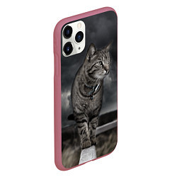 Чехол iPhone 11 Pro матовый Кот, цвет: 3D-малиновый — фото 2