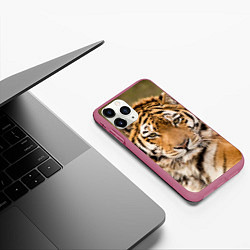 Чехол iPhone 11 Pro матовый Милый тигр, цвет: 3D-малиновый — фото 2