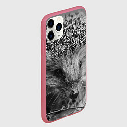 Чехол iPhone 11 Pro матовый Взгляд ёжика, цвет: 3D-малиновый — фото 2