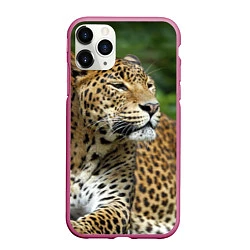 Чехол iPhone 11 Pro матовый Лик леопарда, цвет: 3D-малиновый