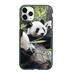 Чехол iPhone 11 Pro матовый Семейка панд, цвет: 3D-темно-зеленый