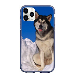 Чехол iPhone 11 Pro матовый Аляскинский маламут, цвет: 3D-серый