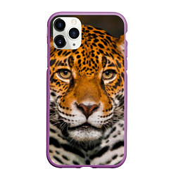 Чехол iPhone 11 Pro матовый Взгляд ягуара, цвет: 3D-фиолетовый