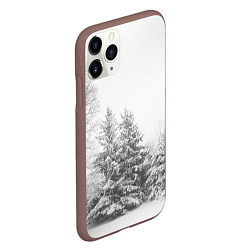 Чехол iPhone 11 Pro матовый Winter Storm, цвет: 3D-коричневый — фото 2