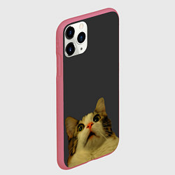 Чехол iPhone 11 Pro матовый Коте смотрит вверх, цвет: 3D-малиновый — фото 2