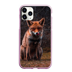 Чехол iPhone 11 Pro матовый Хищная лисица, цвет: 3D-розовый