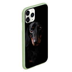 Чехол iPhone 11 Pro матовый ТАКСА, цвет: 3D-салатовый — фото 2