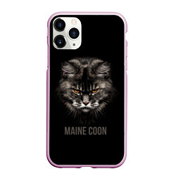 Чехол iPhone 11 Pro матовый Maine coon - кот, цвет: 3D-розовый