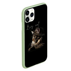 Чехол iPhone 11 Pro матовый Big cat Maine Coon, цвет: 3D-салатовый — фото 2