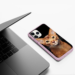 Чехол iPhone 11 Pro матовый Молодая абиссинская кошечка, цвет: 3D-розовый — фото 2