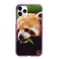 Чехол iPhone 11 Pro матовый Красная милая панда, цвет: 3D-фиолетовый
