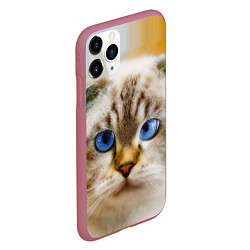 Чехол iPhone 11 Pro матовый Кошка породы шотландская вислоухая косоглазая, цвет: 3D-малиновый — фото 2