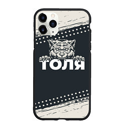 Чехол iPhone 11 Pro матовый Толя зубастый волк, цвет: 3D-черный