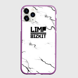 Чехол iPhone 11 Pro матовый Limp bizkit storm black, цвет: 3D-фиолетовый